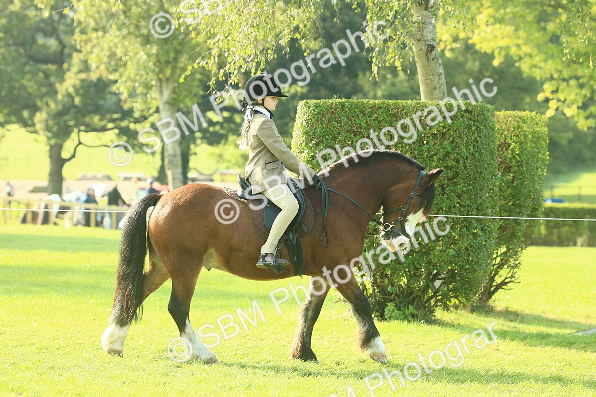 SBM_59295 - S38 - Starters Ridden Showing