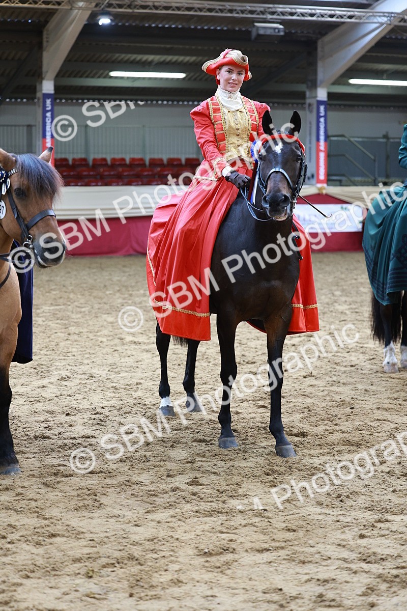 SBM_14847 - Class 107 - Ridden Costume - Astride Adult  (20+)
