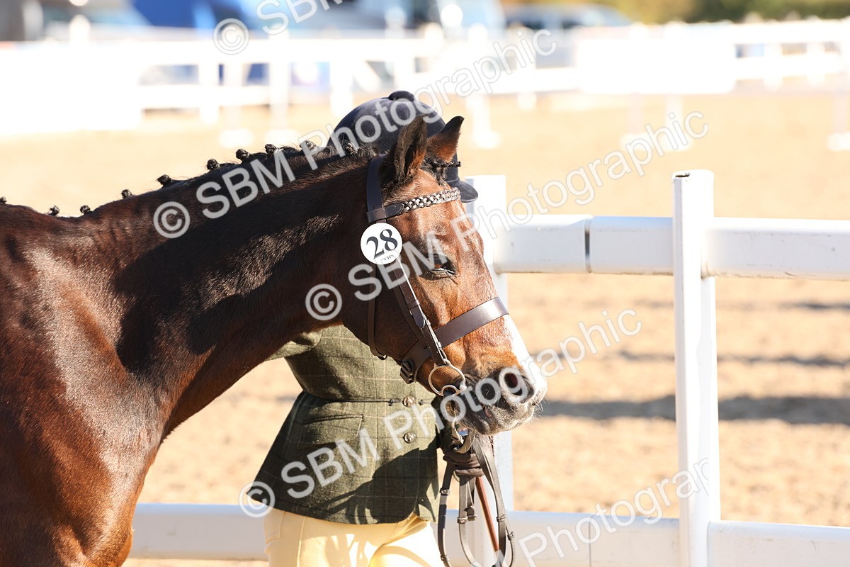 SBM_11615 - Class 203 - Young Handler 11 to 16 years