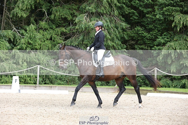 230812-153701-05171 - Cls 5 Novice Bronze 15.00 to End