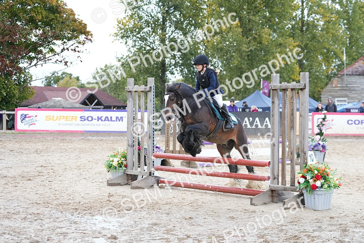 SBM_39640 - J6 - Junior Pony 55cm Championship