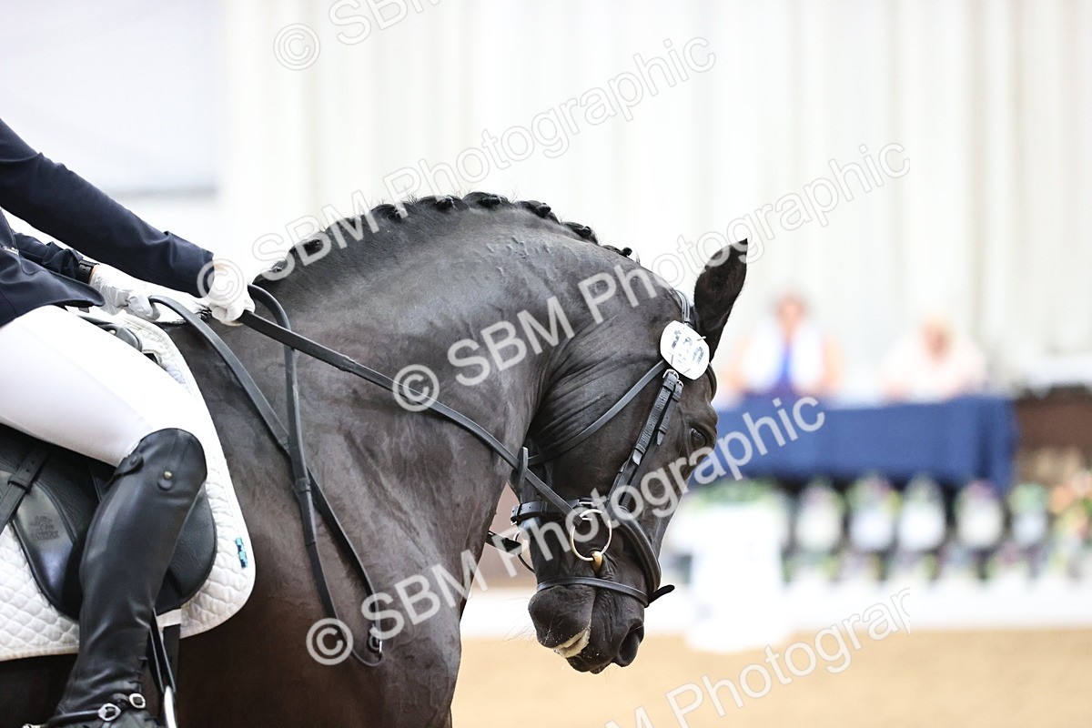 SBM_018869 - Class 21 - Medium 73 - 9.00-10.00