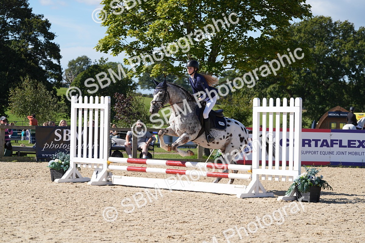 SBM_38689 - J21 - Junior Horse 60cm Championship