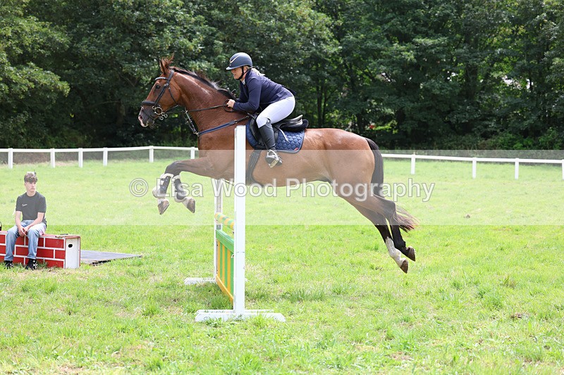3E7A7324 - Class 5: Senior British Novice/90cm open