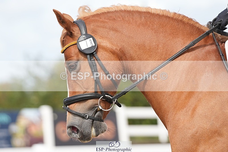 250906-121035-02262 - 078-Sarah.MillerPiper.V