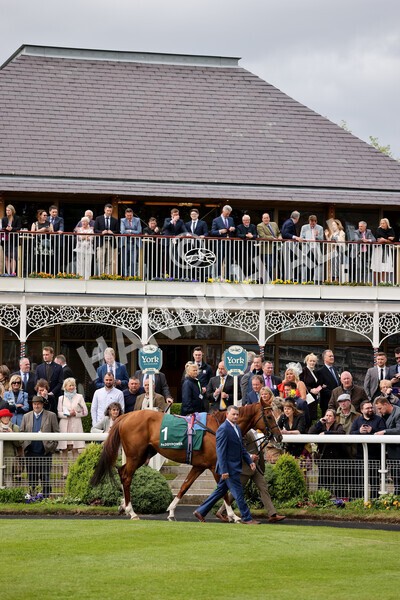 yr13052022r4-20 - Race 4 3.35pm The Paddy Power Yorkshire Cup (British Champions Series Race)