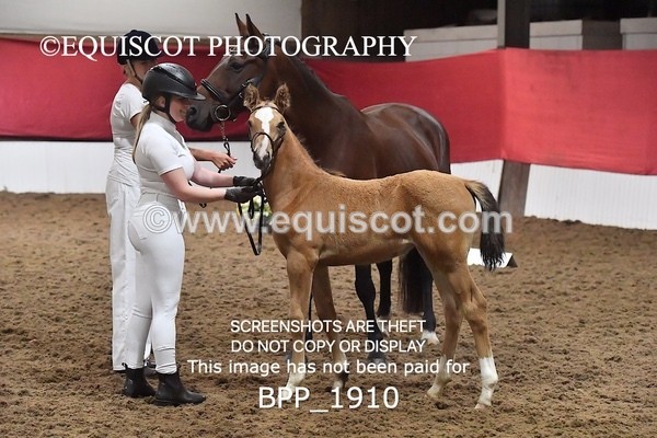 BPP_1910 - AFTERNOON 12.30 - 3.30PM