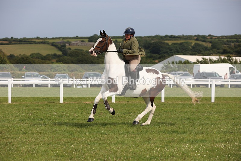JPP_4046 - Class 24: Working Hunter 90cm