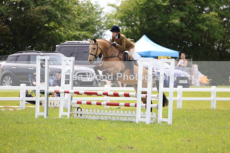 3E7A1429 - Class 13: Senior British Novice/90cm open