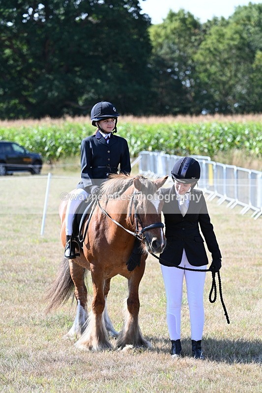 WJ7_3169 - Class 8 Ridden Tack & Turnout