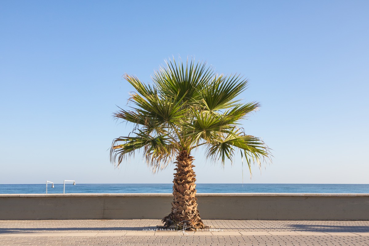 Palm shower - Crete
