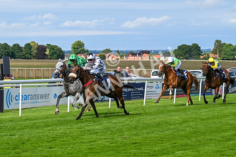 160724-Race 6-Blufferonthebus-9440 - Race 6