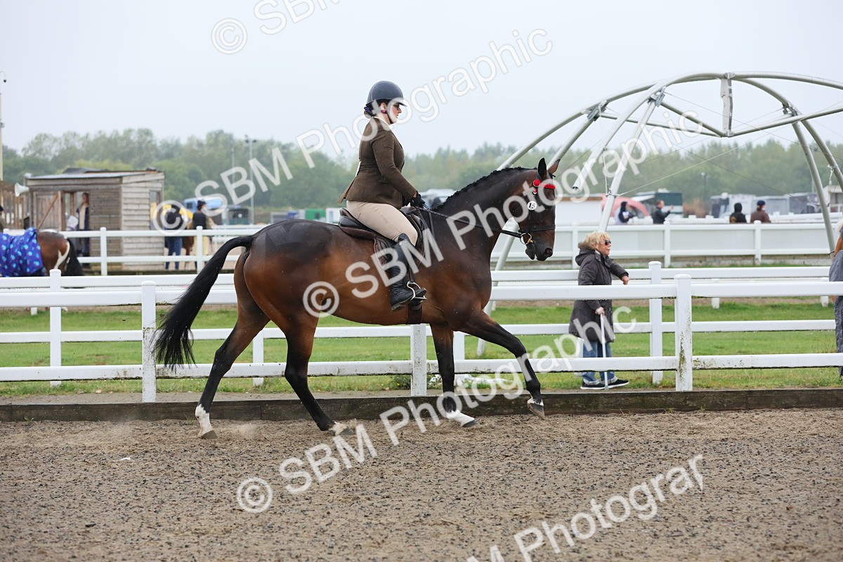 SBM_20017 - Class 802 - Ridden Groom - Helpers class