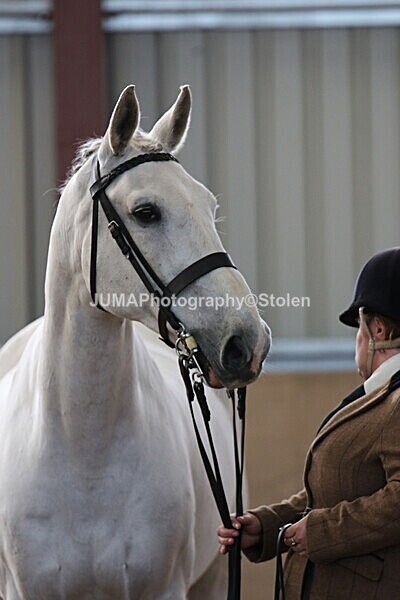 SIAL9704 - Indoor Classes