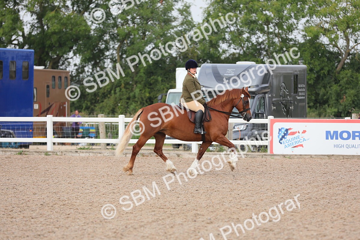 SBM_09998 - Class 302 Ridden M&M -Large Breeds