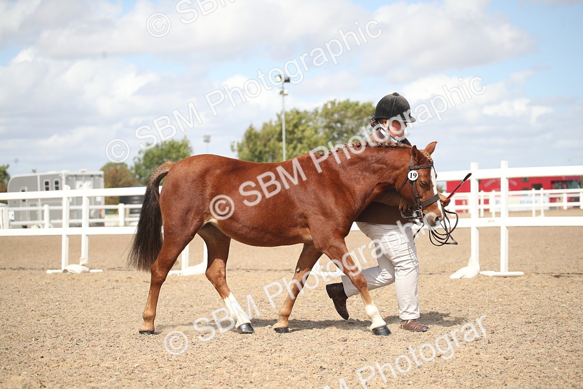 SBM_23185 - Class 606 - 2026 - Area - IH Pre Vet