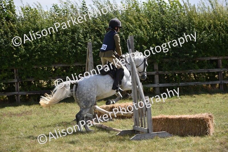 20250831-3944 - Class 11 - Working Hunter Pony 13hh and Under