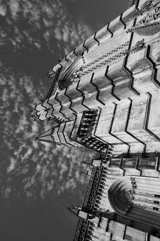 Dizzy - B&W01