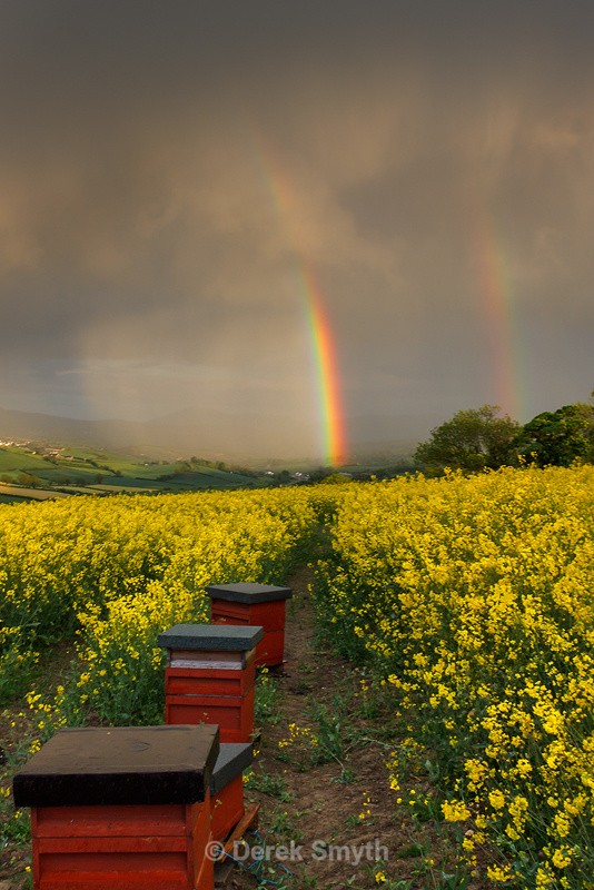 Rainbows From Heaven