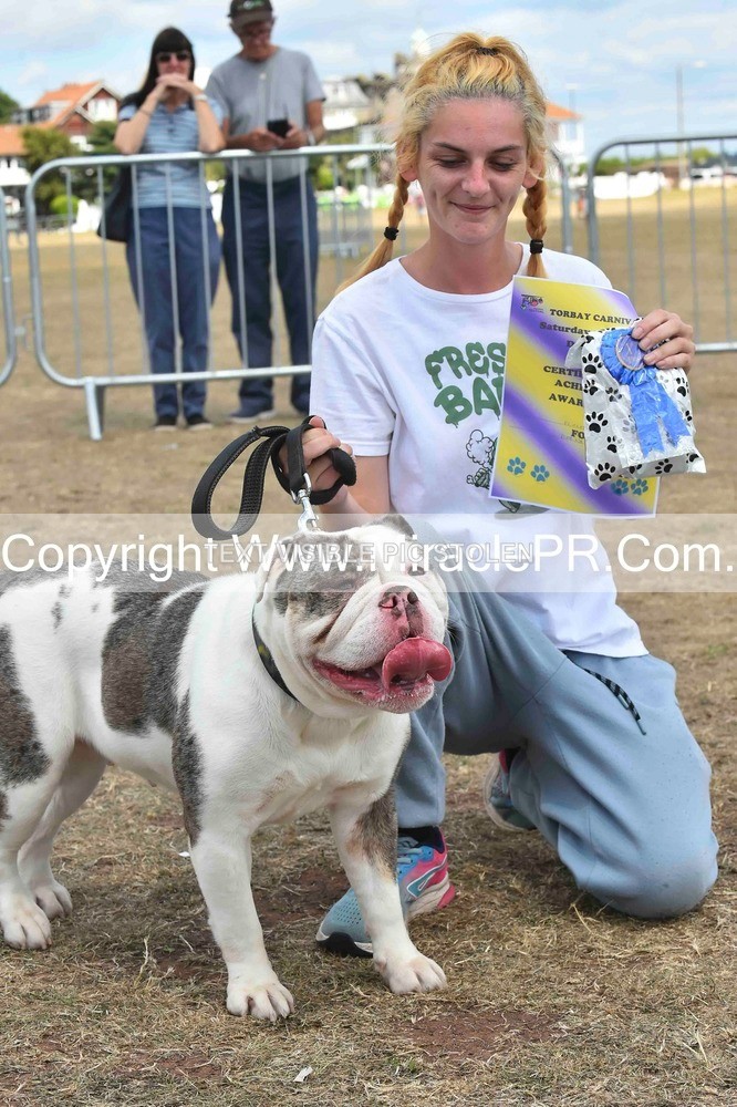 SH4_0203 - Dog show.
