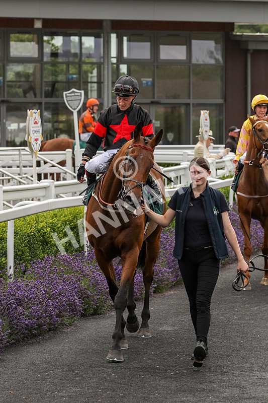 240724-Race 4-Swinging Eddie-3539 - Race 4