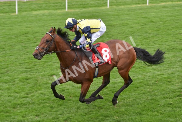 yr14052021r3-25 - Race 3 2.40pm The Matchbook Best Value Exchange Stakes