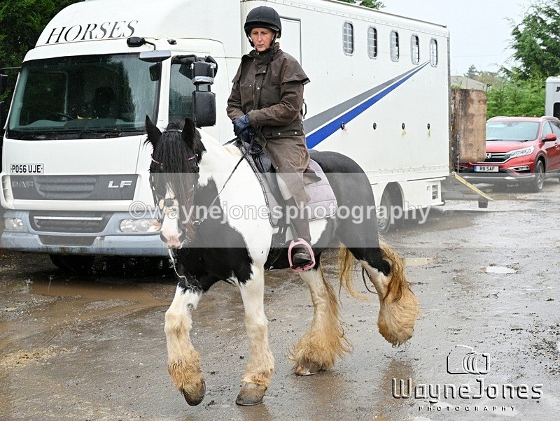 WJ7_8397 - Berks & Bucks Blackcroft Farm 20-10-24