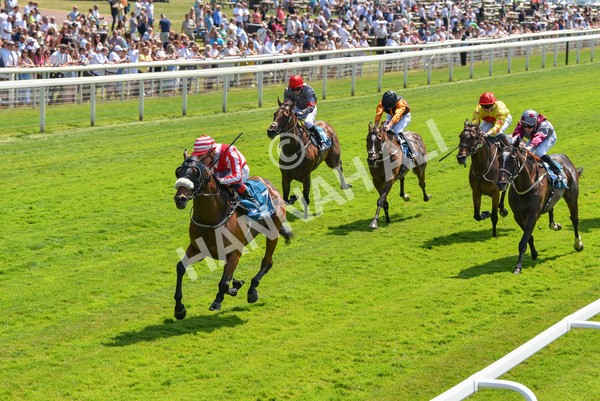 160623-Race 1-Menelaus-6148 - Race 1 1.50pm Andy Thornton Hospitality Furniture Apprentice Handicap