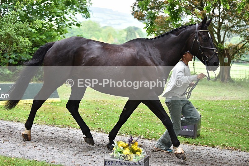 240522-172854-01640 - 290-MISTER_KAI-Hani_Milstein