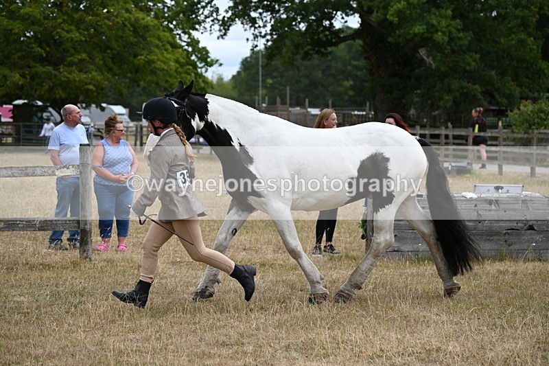 WJ6_8382 - Class 10 Coloured in Hand