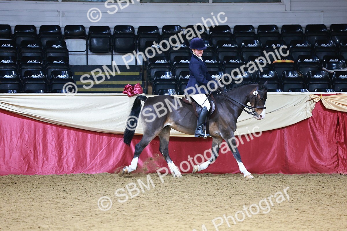 SBM_23456 - Class 904 - Supreme Final - Ridden Diamond