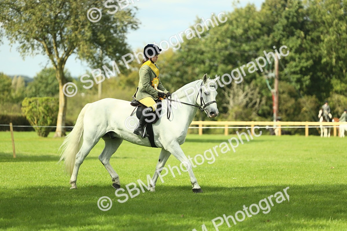 SBM_44884 - Working Hunter Pony Supreme Championship