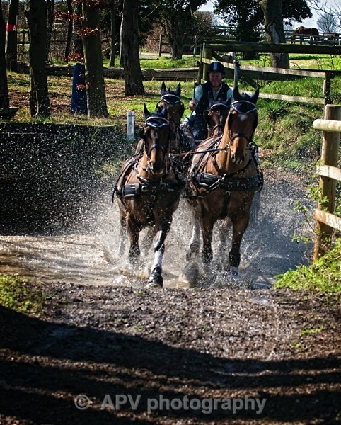 _DSC0152 - Ashfields Carriage & Polo Club