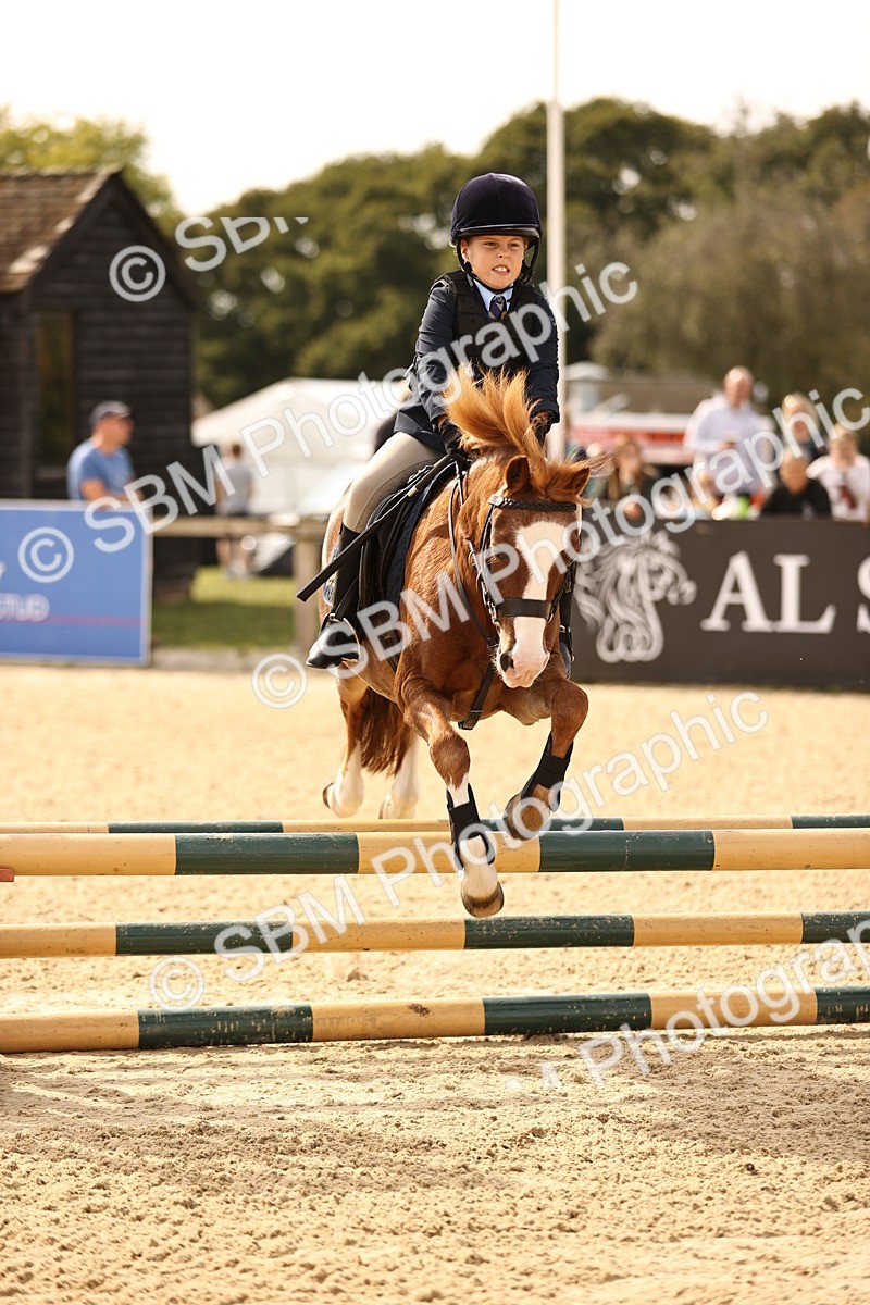 SBM_66837 - J13 - Junior Pony 60cm Championship