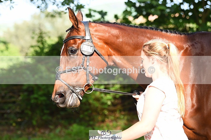230524-171136-01342 - 158-RED_LETTER_DAY_II_(GB)-Imogen_Murray-WEDTrotUp+DR