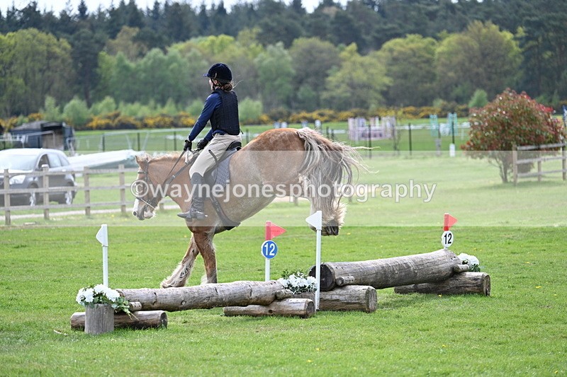 WJ7_6422 - 60cm Time 11:12 to 11:36