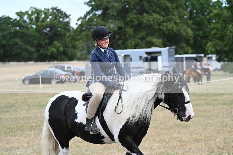 WJ7_5456 - Class 12 Ridden Cob