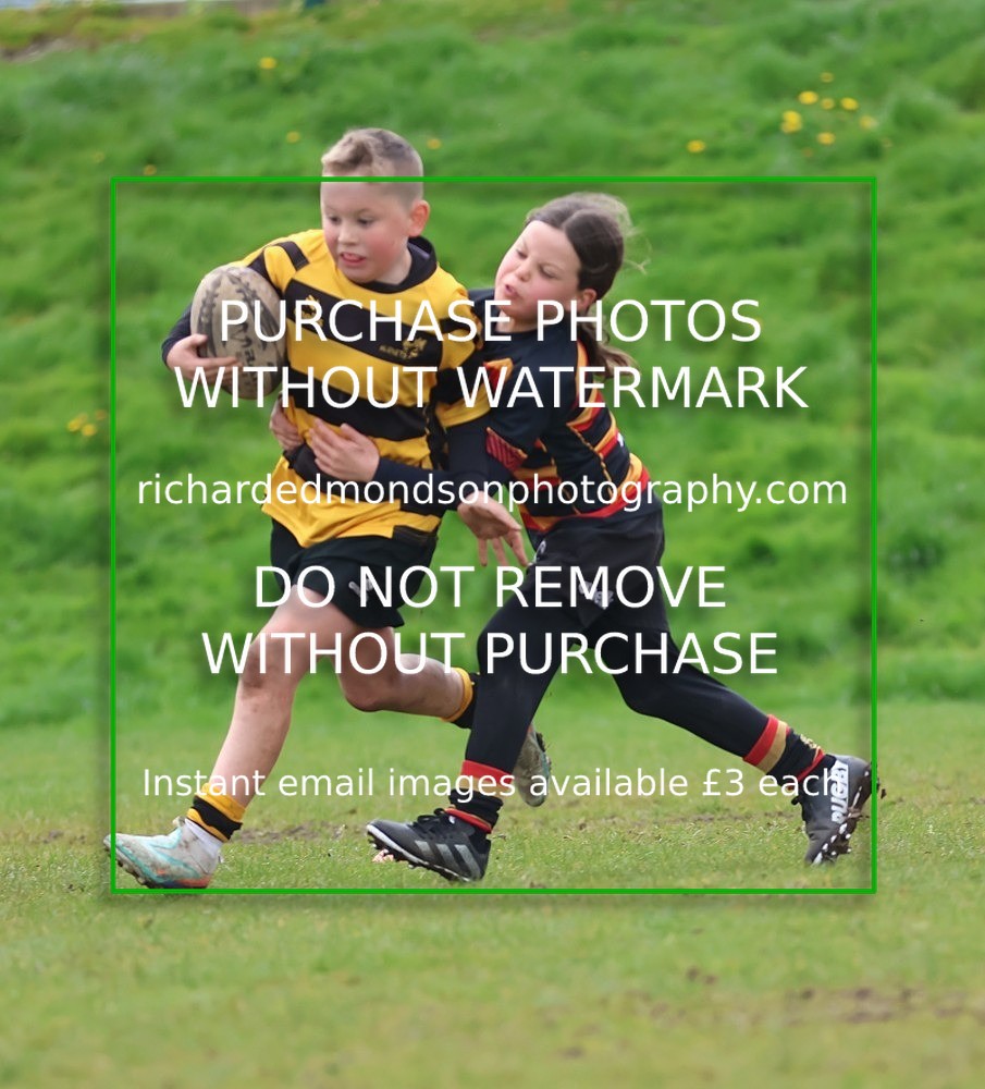 533A5610 - Kendal Rugby Mini & Youth (Sunday 12/4/26)
