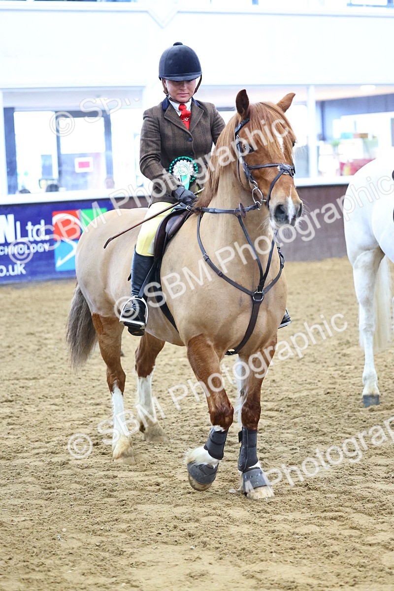 SBM_003696 - Class 37 - 80cm Training Stakes