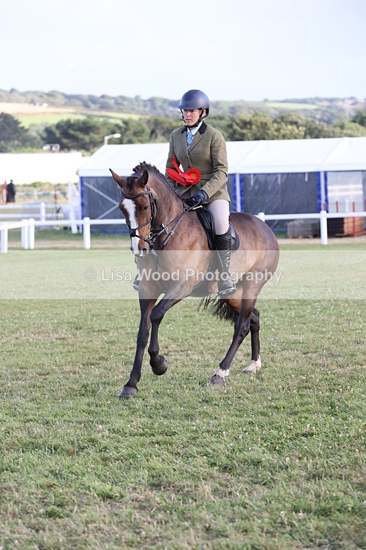 JPP_3740 - Working Hunter Championship
