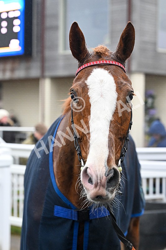 210126-Race 2-Kosac dOudairies-3900 - Race 2