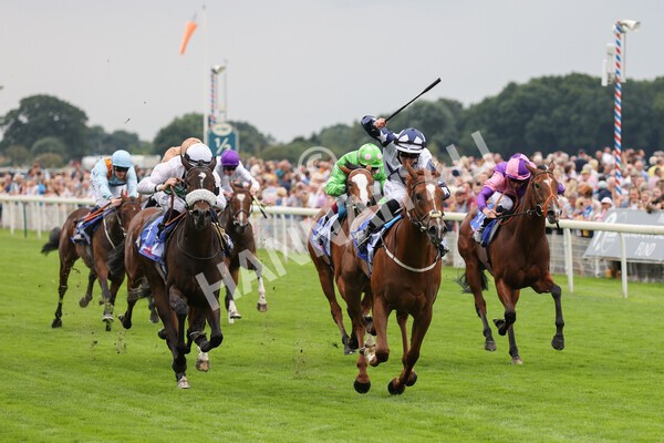 yr19082021r1-19 - Race 1 1.50pm Sky Bet Lowther Stakes
