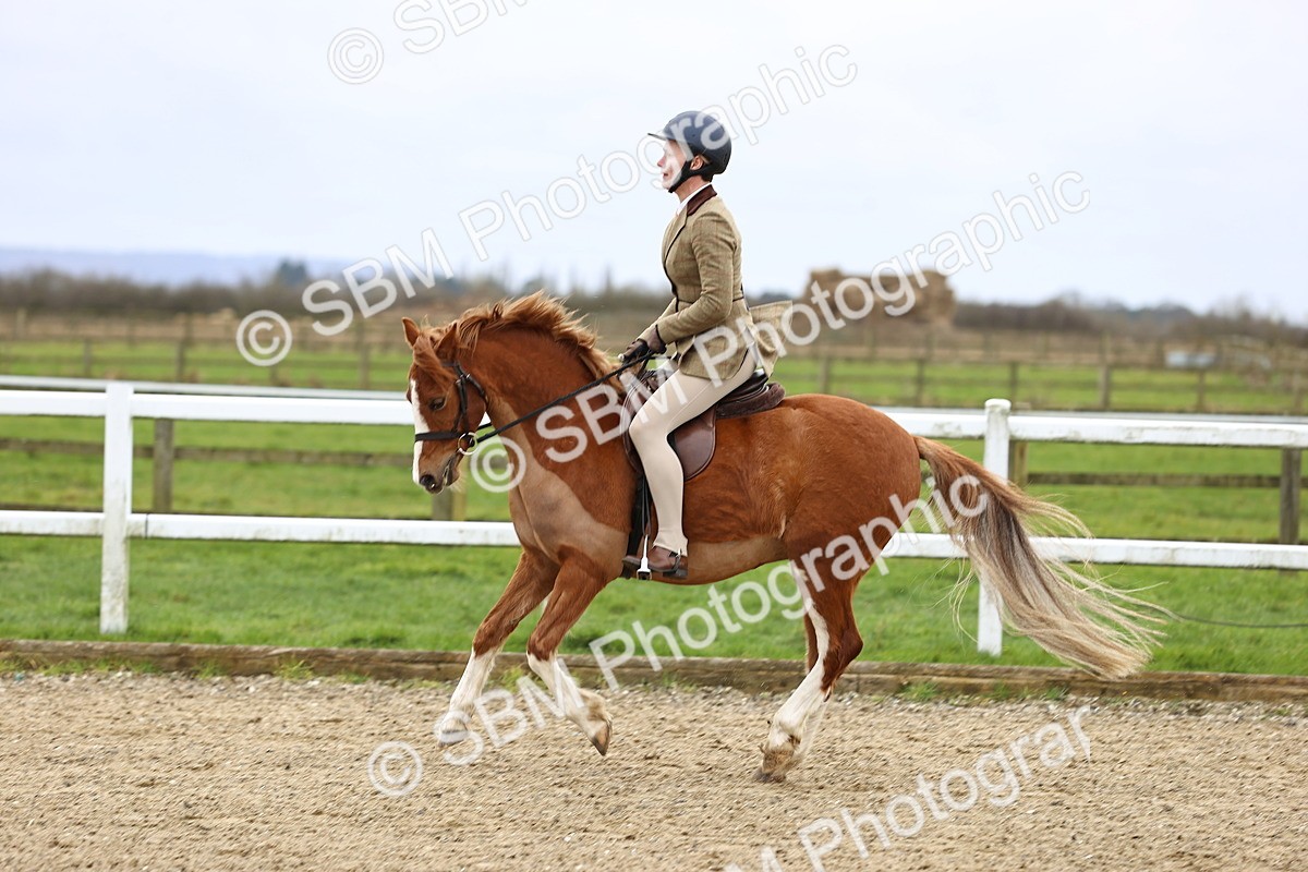 SBM_006784 - Class 29 - 30 - M&M Pure Novice Small-Large Breeds
