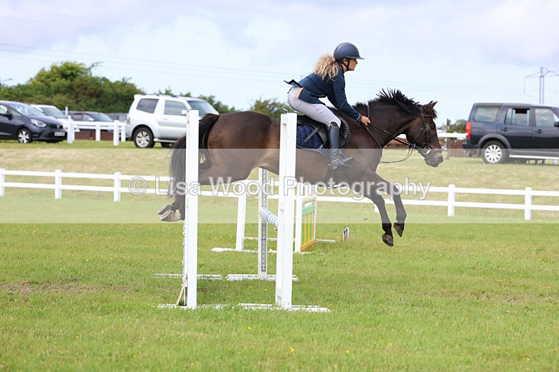3E7A7593 - Class 13: Senior British Novice/90cm open
