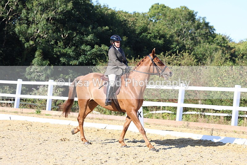 3E7A5174 - Class 7: Novice Ridden Hunter/Hack/RH/Cob