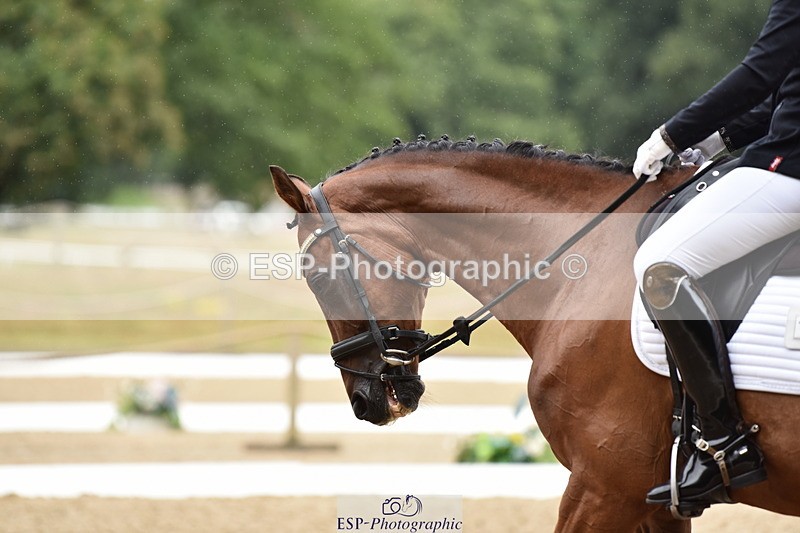 140110A-001806-10574 - 113-Danielle.Thackray-ROMANNO.MAYDREAM