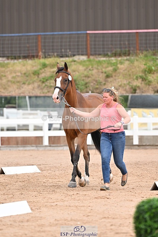 250716-152547-01933 - Trot Up 2.30 to 3.30