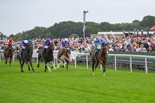 200825-Race 4-Ombudsman-1613 - Race 4 3.35pm Juddmonte International Stakes