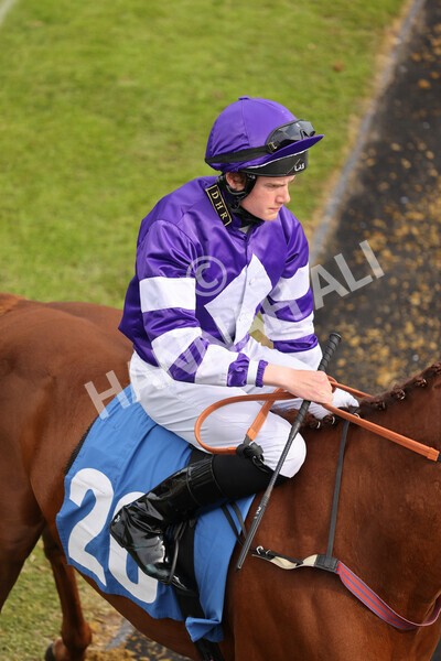 yr13052022r6-2 - Race 6 4.45pm Yorkshire Equine Practice Stakes