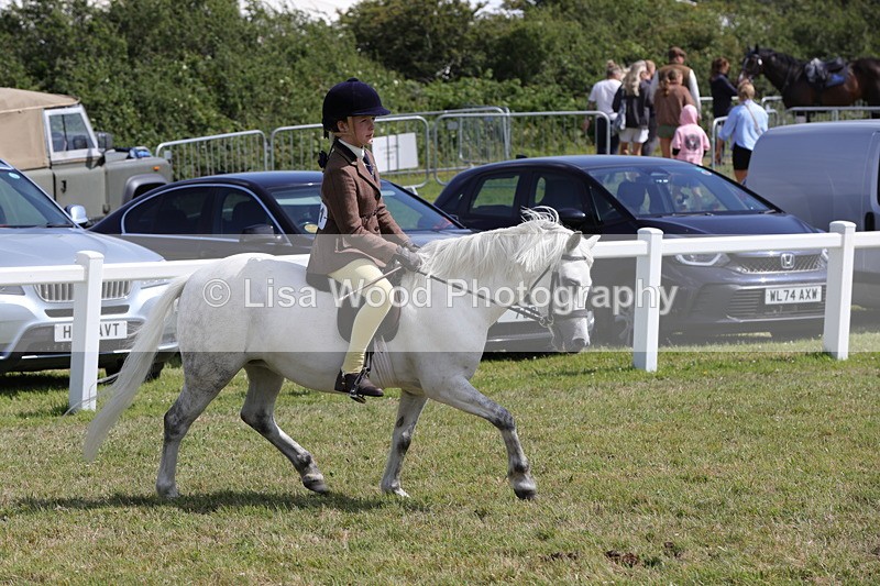 1X9A5344 - Class 37: NPS M&M First Ridden